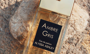 Ambre Gris Family